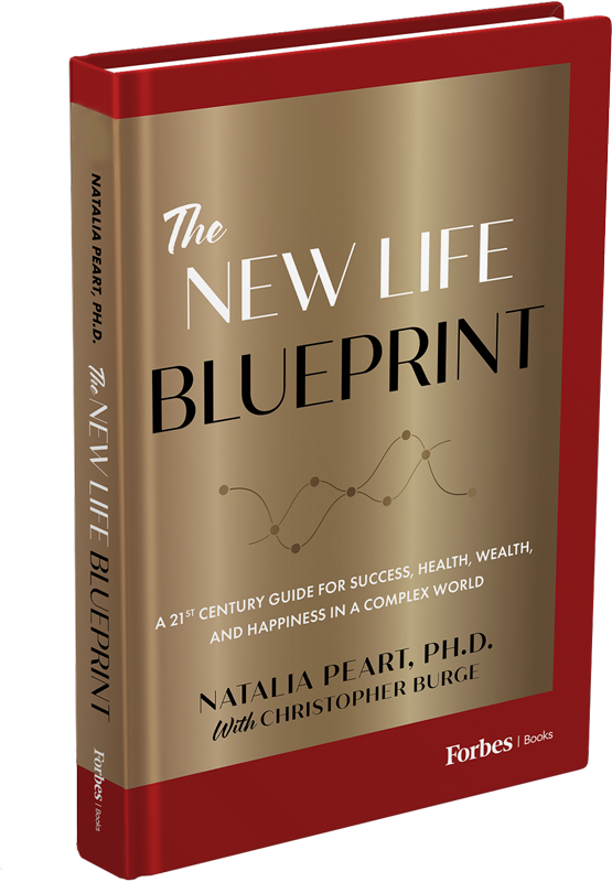 The newlife bluleprint book